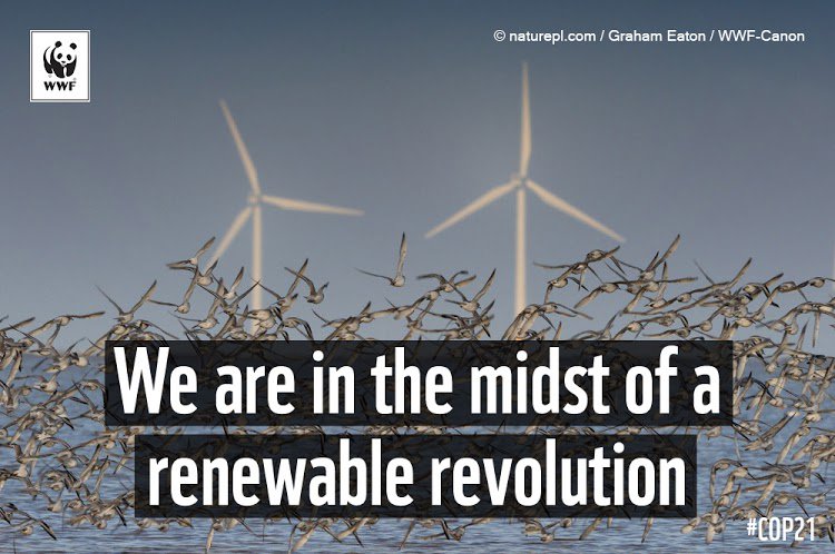 WWF_ROA's tweet photo. Report shows end of the #fossilfuel era has begun as investors withdraw their funds #COP21-https://t.co/xU1xYlXaDF https://t.co/WDYKAXAkyn