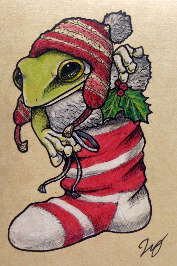 ヒキタ レオ 引田 玲雄 在 Twitter 上 靴下の中の蛙 メリークリスマス ということで リアルめの クリスマス イラスト をどうぞ 僕はやっぱりリアルめの方が好きです カエル イラスト基地 いらすめいと イラスト拡散 カエルイラスト Frog T
