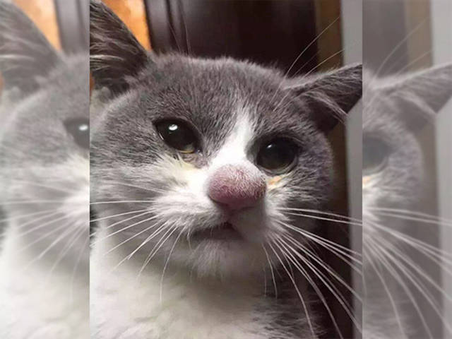 Spunk.nl tweet media