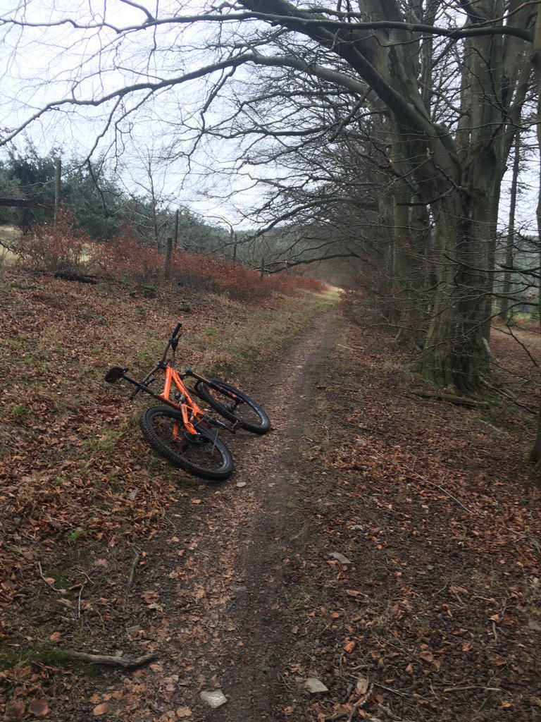 Veetirecouk's tweet image. Who rode what and where this weekend? Forget #loamlife it was all about #leaflife up our local! #tyretesting
