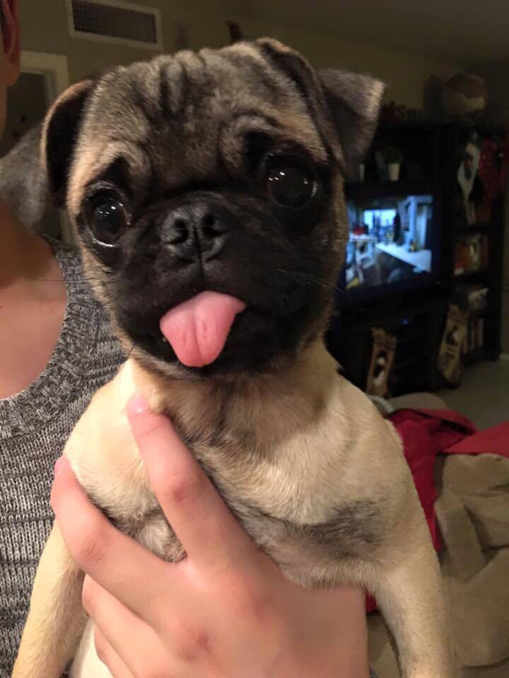 But don't forget; you are allowed to look stupid aswell! XO