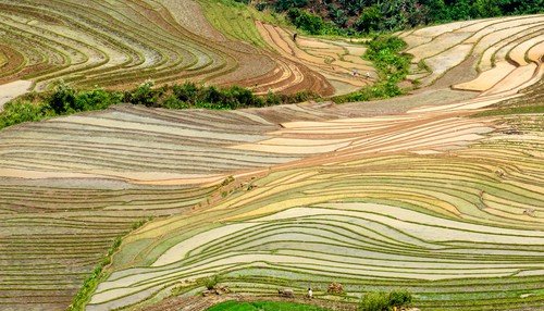 La gestion durable des terres : l’autre enjeu de la #COP21 @philippezaouati <a href="/Mirova_RI/">Mirova</a>  bit.ly/1lImEvP