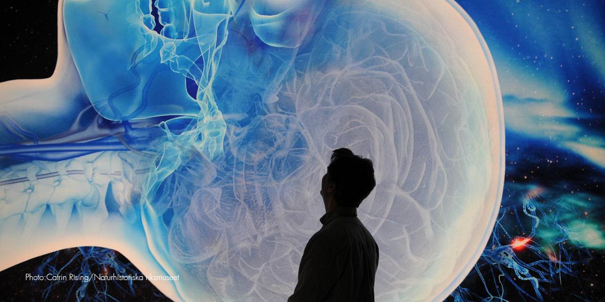 It is the Nobelweek! Bring out your inner geek at the science attractions in Stockholm bit.ly/1OdgTxa