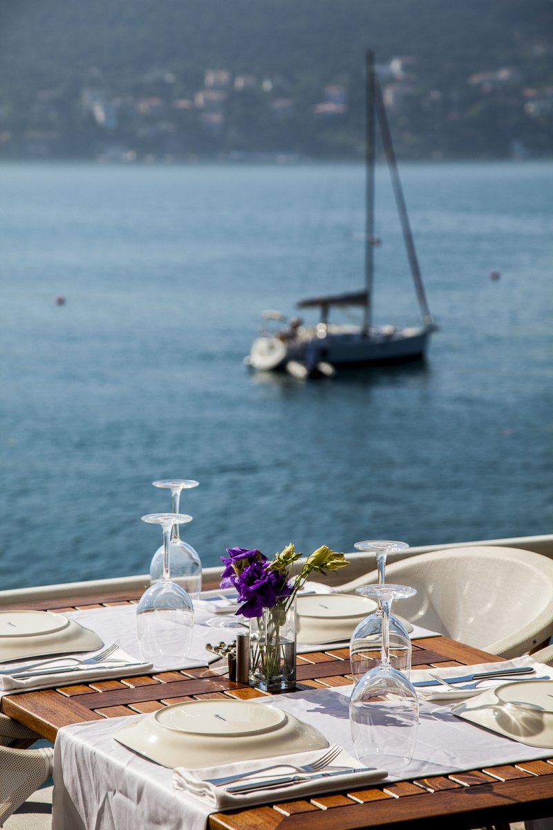 Yenilenen web sitemiz yayında... İyi haftalar! eliosedef.com