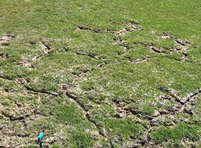 TomEatonSA's tweet image. BREAKING: Cricket South Africa has just revealed the pitch being prepared for India's next visit.