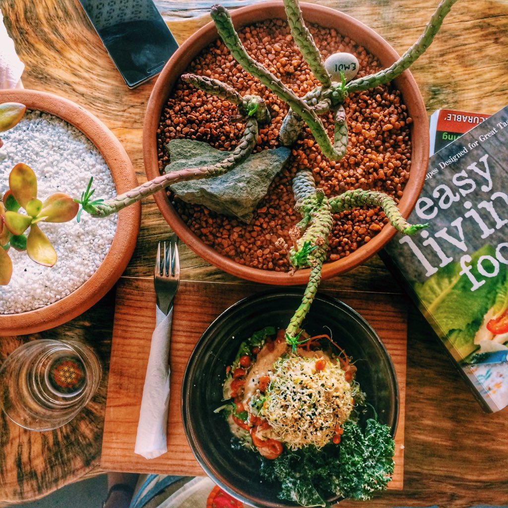 MischaDurrant's tweet photo. Nothing better then a healthy lunch @sexyfoodsa to start the week 🌿 #food #healthy #gardenfalafel https://t.co/k11JJjGb13
