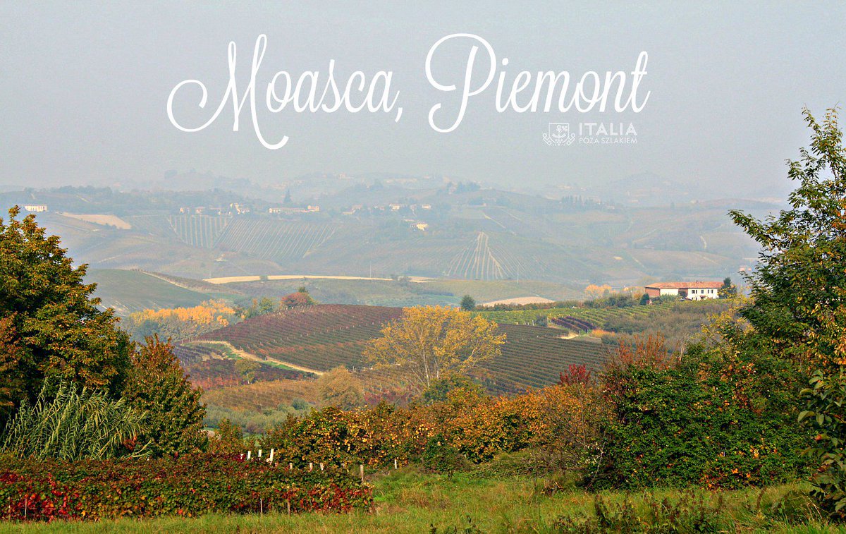 diabelmorski's tweet photo. #Moasca #Piemont, what a view! A light fog, but still wonderfully @PiemonteTurismo @MaxPastura https://t.co/kw52ftfNtj