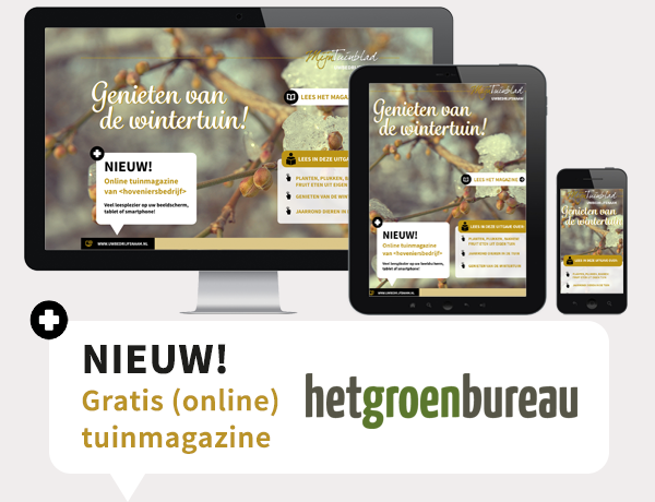 hetgroenbureau's tweet photo. Nieuw voor #hoveniers: online relatiemagazine op maat. Bron van inspiratie voor (potentiële) klanten https://t.co/FIXgrs9Ibz