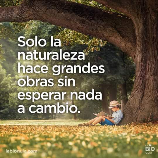 Pablo Aparicio tweet media