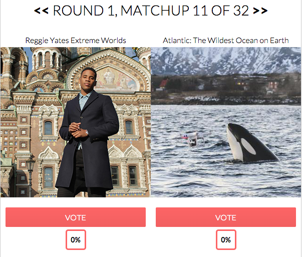 RadioTimes's tweet photo. #FactualShowChampion Round 1. @REGYATES #ExtremeWorlds v #Atlantic: #WildestOceanonEarth https://t.co/9p9gPFci7Q https://t.co/20WDxxslIL