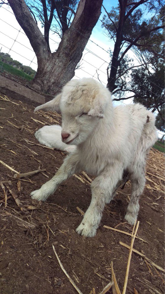 The look of an accomplisment. XO