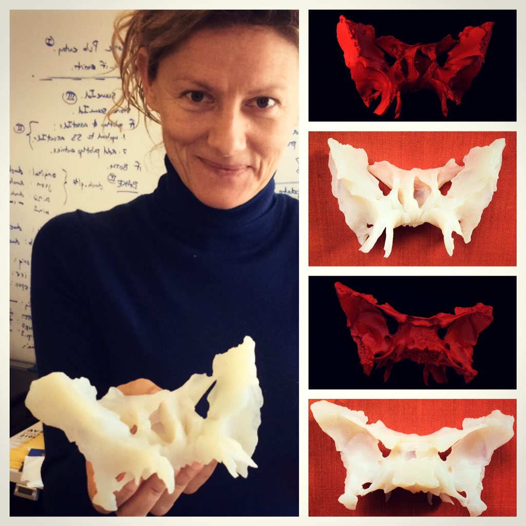 3DTAM_EU's tweet image. 3DTAM is going to receive a stunning #Christmas #gift from our #friends @TanjaDzambaz and @AutodeskMemento! @unipait