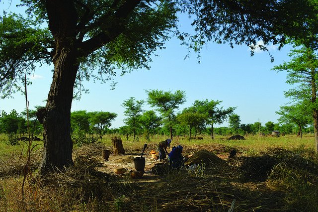 CIFOR-ICRAF tweet media