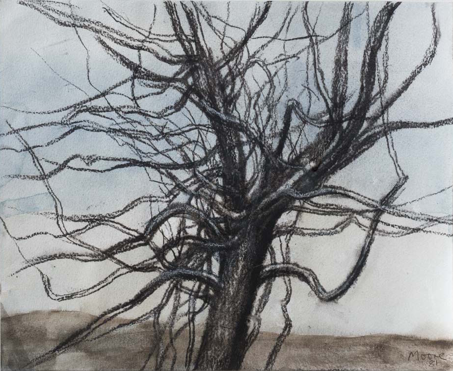 Wander through trees - come and see ARBORETUM at Crane Kalman Gallery until mid-January 2016