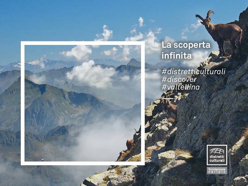 Distretti Culturali tweet media