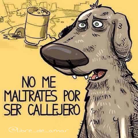 libre_de_amar's tweet photo. Ellos son libres de amar y ser amados ❤️ https://t.co/JBeeWydYIL