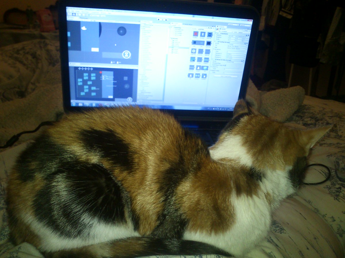 james_d_patton's tweet image. Kitty is helping me code, in her own way. :P #codingcats