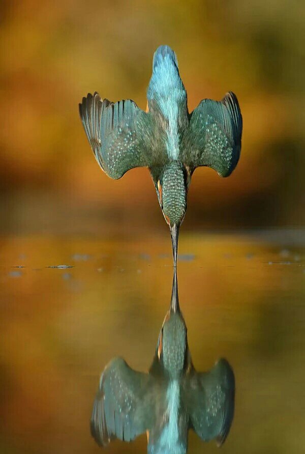 earthposts tweet picture