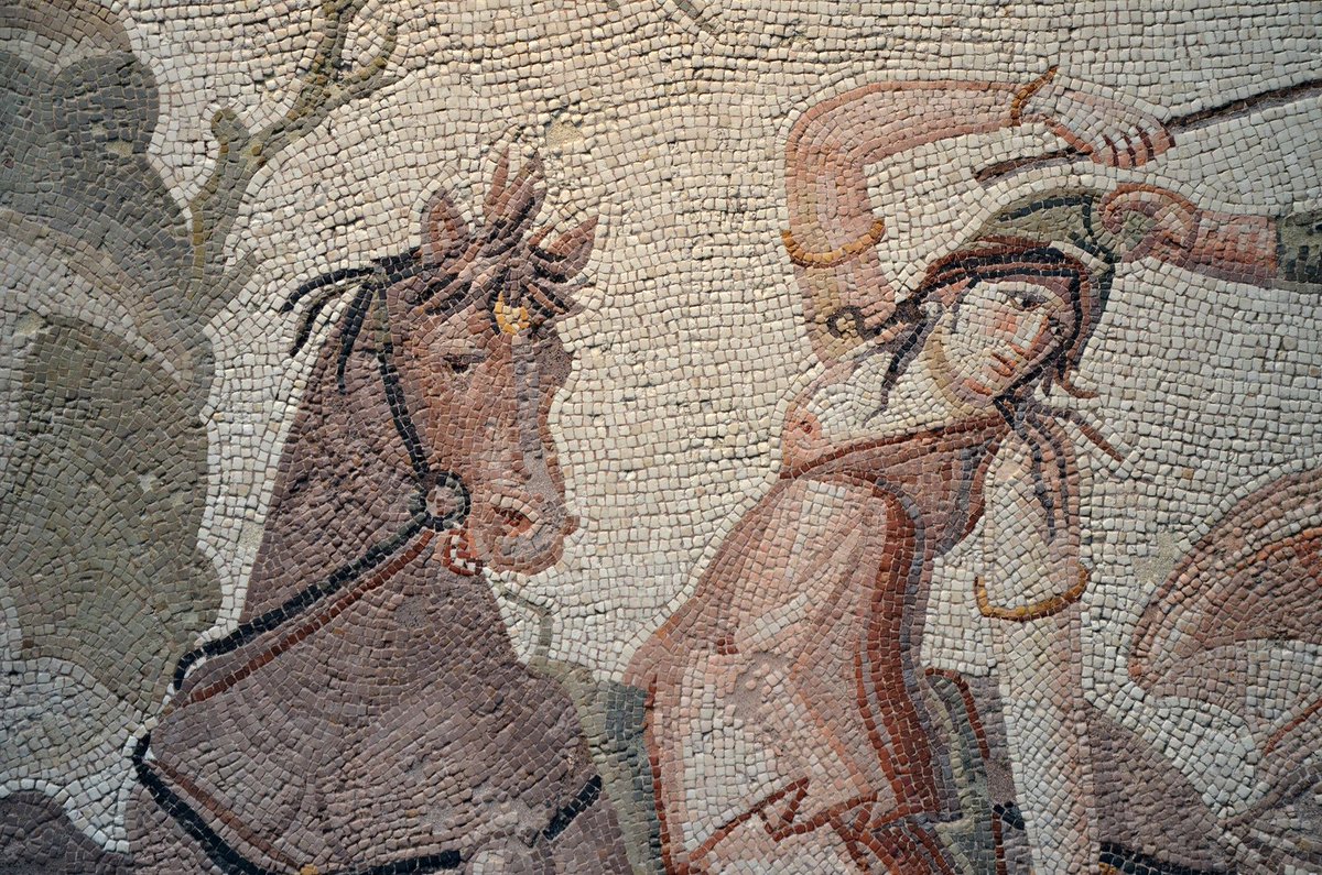 carolemadge's tweet photo. Amazonomachy (battle of Amazons) mosaic from Daphne (near Antioch), 2nd half of 4th century AD. Now in @MuseeLouvre. https://t.co/pS5W9WTEj7