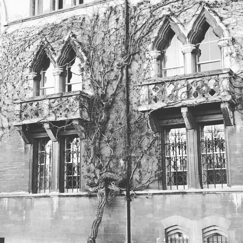 stubot's tweet image. #ChristChurch 03 💒 #creepywindows ift.tt/1XWjVel