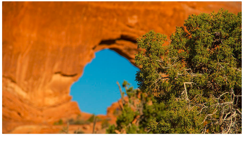 KunalMehraPhoto's tweet photo. Utah's famed arches #windowarch https://t.co/7TkMA1daQS #moabutah #archesnp #LifeElevated @VisitUtah @VisitMoabUtah https://t.co/feiwodO6nb