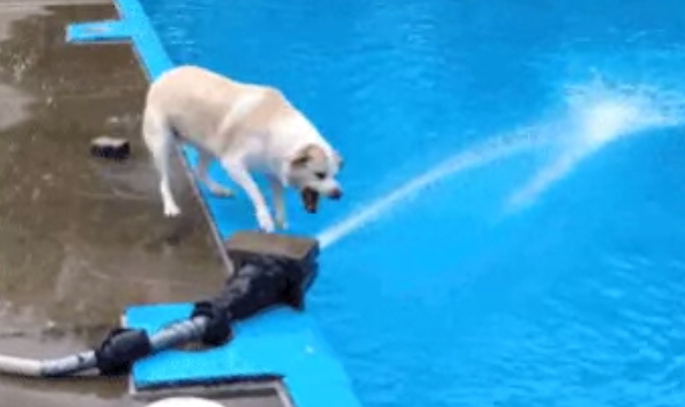 Su İçmenin Size Kazandıracağı 11 Şey t.oned.io/1dhb