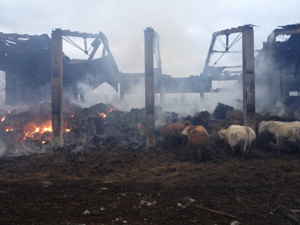 Aicinām palīdzēt nelaimē nonākušajiem Ikšķiles novada lauksaimniekiem zemniekusaeima.lv/aicinam-palidz…