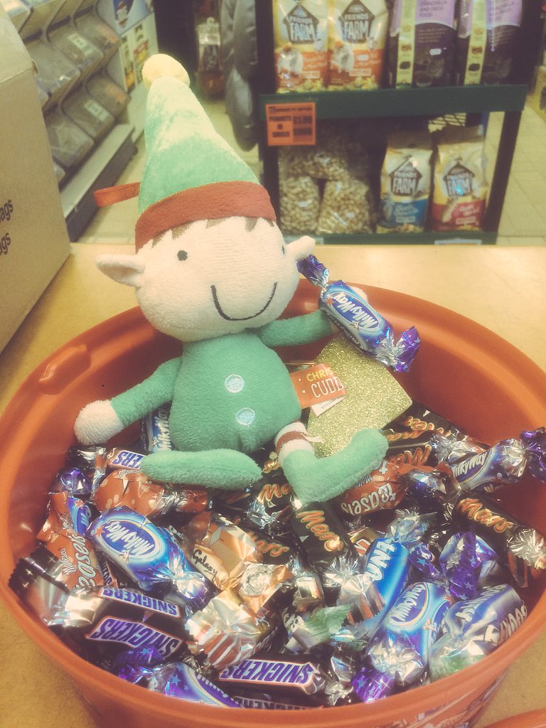 Diamond Pet Supplies tweet media