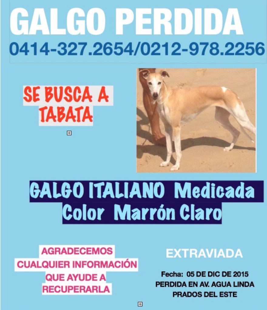 adopcionmascota's tweet photo. @JeanMary_ #SOSperritaextraviada  se escapó el sábado de su casa en Prados del Este. Ayúdanos a encontrarla. https://t.co/If6pSGI6Nf