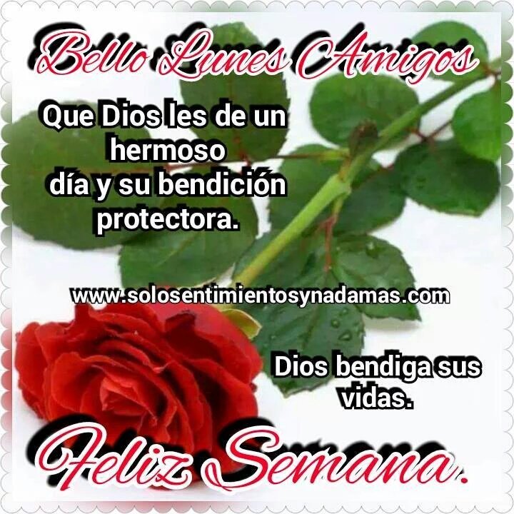 Enlace permanente de imagen incrustada