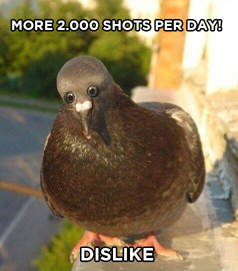 Rangers_Hunting's tweet photo. After hearing this they were terrified. 

#Dovehunting #Birdhunting
https://t.co/AB6dFtgNdK https://t.co/blwvPF53VI