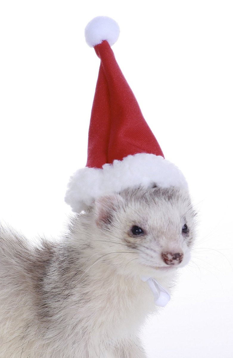 applesmakemehap's tweet photo. #xmasinmyparadise i think i will actually buy this hat https://t.co/qIW84p5UB9