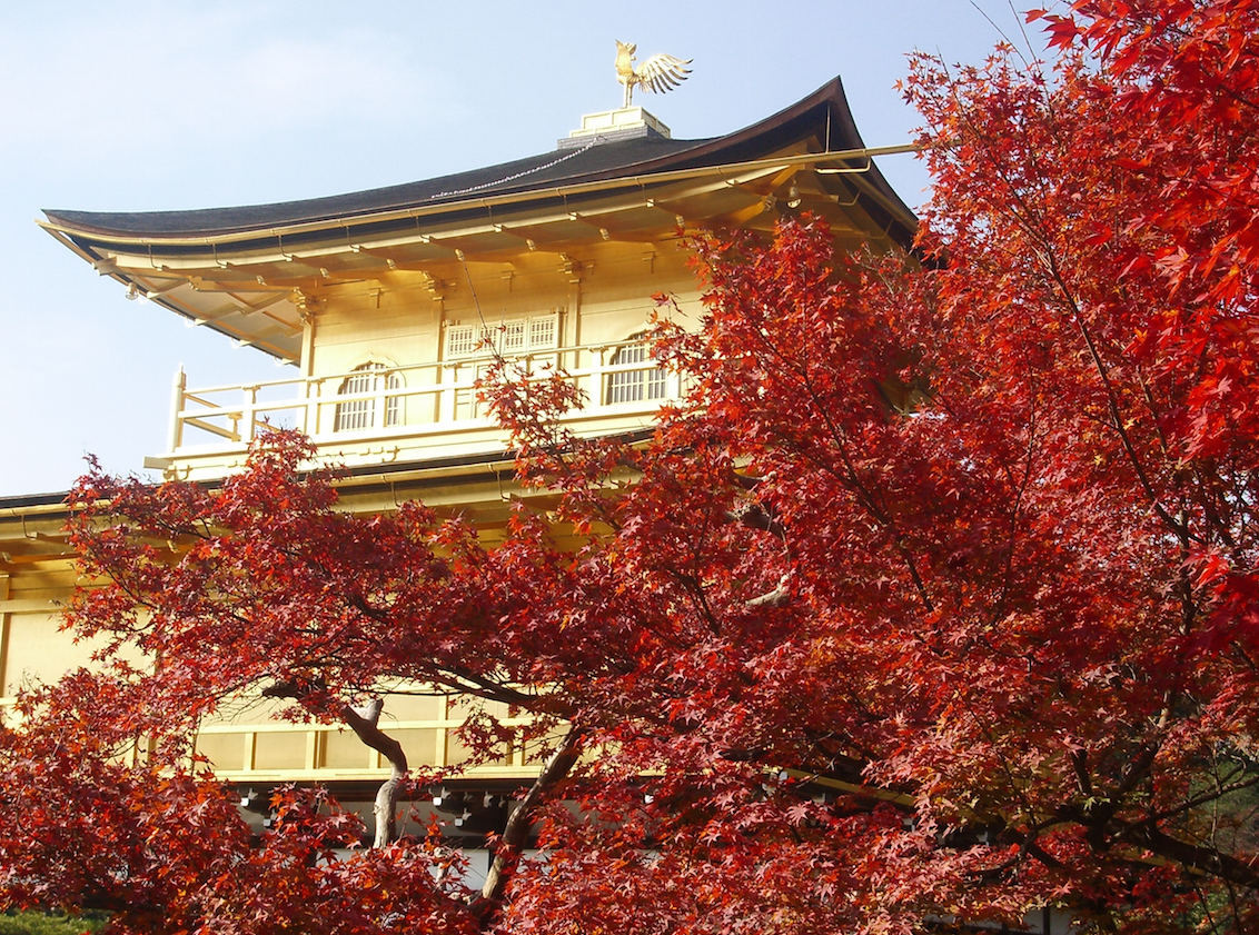 ElieRaflowitz's tweet image. I became a crazy tour guide. 5 cities 4 days: Kobe Tokyo Hakone Kyoto Hiroshima #Fall05Recap elizabethraflowitz.com/2015/12/07/fal…