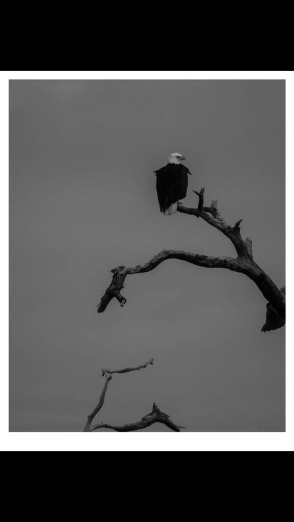 FishFryMagazine's tweet image. 