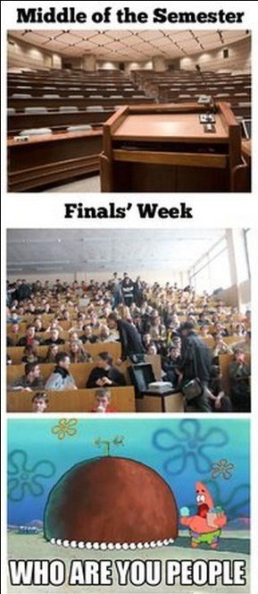 UNTclass tweet picture