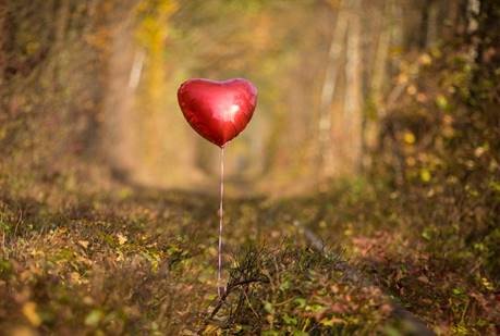 De mannen van 365 dagen succesvol hebben een mooie blog gepost op wendyonline. Lees het nu! wendyonline.nl/loslaten-365-d…