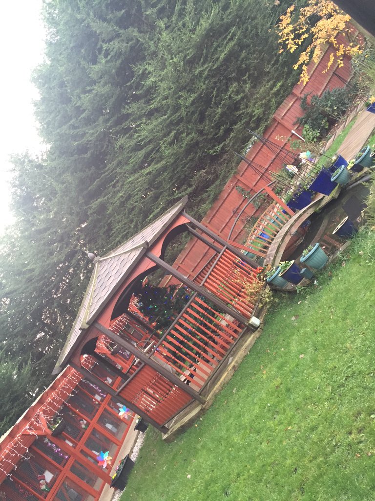 youalrightpet's tweet photo. The crew had a great visit to Kitz Katz yesterday. Kitz Katz is the only place in the UK to hold pet weddings! https://t.co/6sILgTKESY