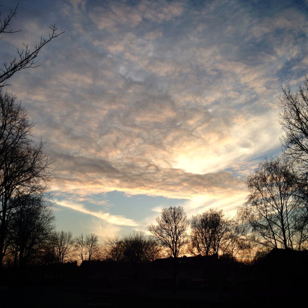 Bron: Mooi Heiloo