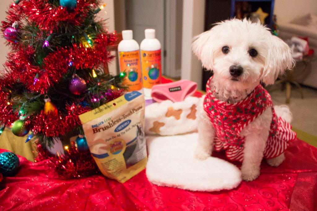 Prettyography tweet media