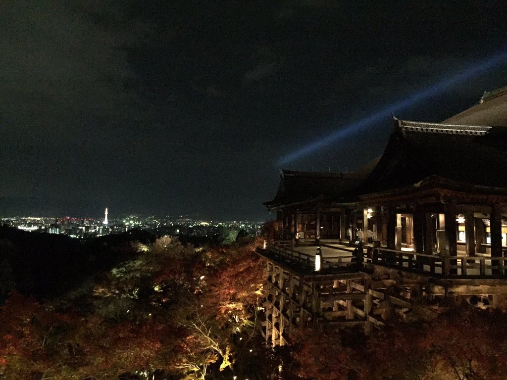 Kyoko 清水寺の紅葉ライトアップ 閉門時間ギリギリだったので 清水の舞台には 誰もいません 胎内めぐりも2人だけだったし いつもよりゆっくりできて良かった T Co Mktxrrudnx Twitter