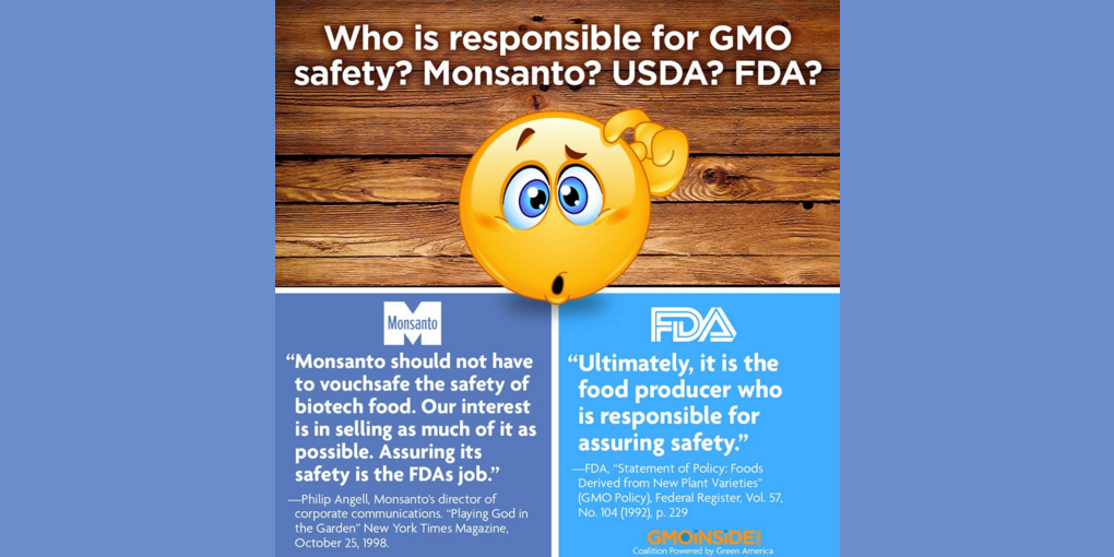 SoilClimateAll's tweet photo. Who is responsible for GMO safety? https://t.co/PiJX4Ezzak #food #GMOs  #labelGMOs #banGMOs #FDA https://t.co/ZX7LBTwFkJ