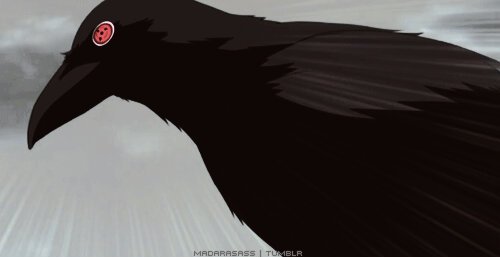MayerJhon's tweet photo. https://t.co/fqXLXeN2JG