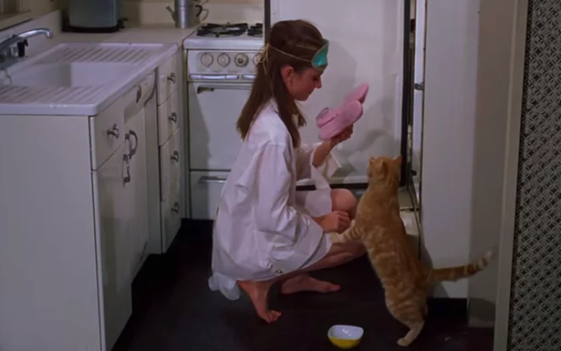 Minicik Patilerine Bakmadan Dünyayı Değiştiren 9 Kedi t.oned.io/1d9i