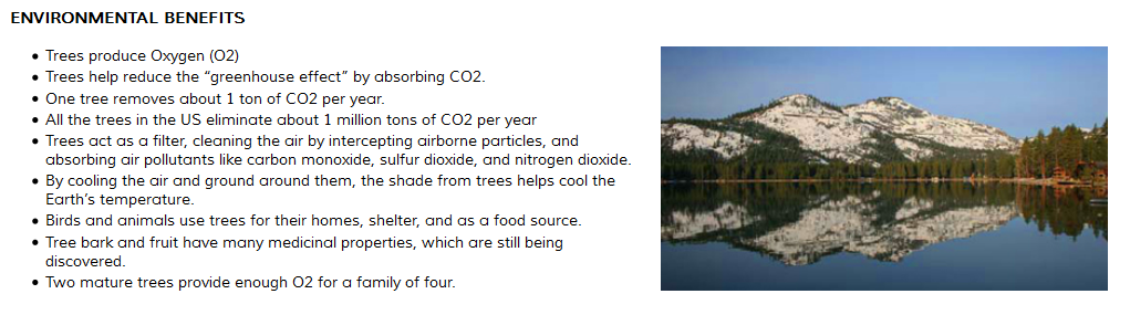 GenesisTreeSrvc's tweet image. RT  #TreeTrimming #StumpGrinding #SanRamonTreeServices