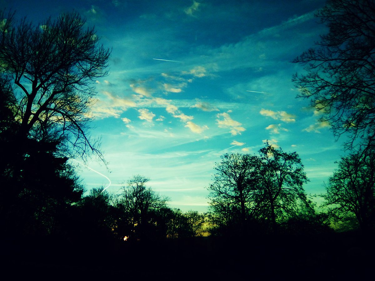 JodielaChouette tweet picture