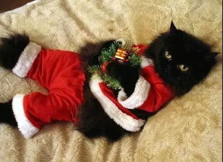 Sandy Claws..