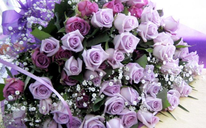 @mfcemilylynne ok i thought these were pretty so here have these https://t.co/D14GCLfoCV<a class="tags" target="_blank" title="On Twitter" href="/?out=eyJ0eXAiOiJKV1QiLCJhbGciOiJIUzUxMiJ9.eyJpYXQiOjE3MjU4NTMxMjYsImlzcyI6InR3cG9ybnN0YXJzLmNvbSIsIm5iZiI6MTcyNTg1MzEyNiwiZXhwIjoxNzU3Mzg5MTI2LCJyZWRpcmVjdF91cmwiOiJodHRwczovL3R3aXR0ZXIuY29tL21mY2VtaWx5bHlubmUifQ.UBW6_LOXpBsPlhBQCLUQADxfmdr2i2SfRqSVkZOfKiMwQqDidrtIeEfuRrDgM1tQS0ccL3ehwEbLlWkOzIvSZA">@mfcemilylynne</a><a href="/tag/rt"class="tags"><span>#rt</span></a>