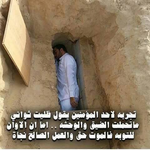 basit_libya tweet picture