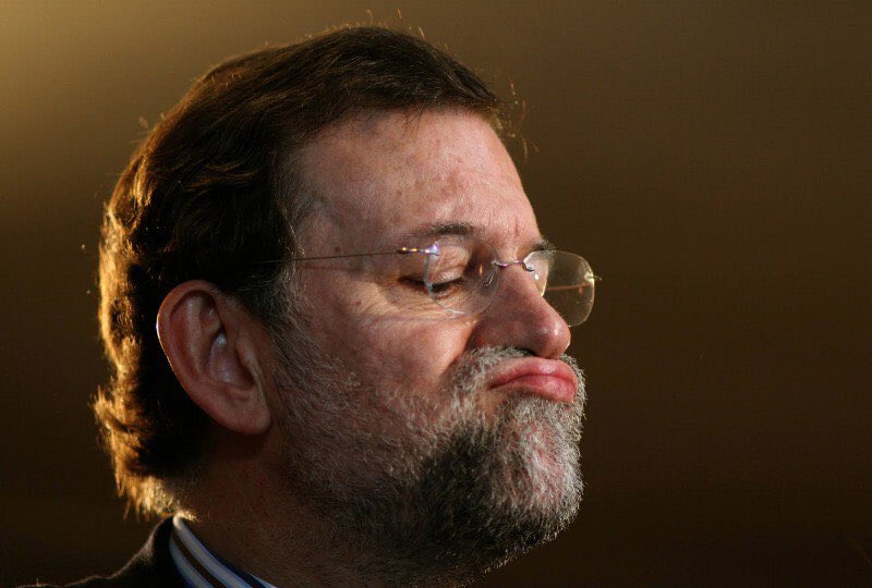 20m_genteytv's tweet photo. Rajoy se lo está pasando pipa viendo 'Pequeños gigantes' en @telecincoes #7DElDebateDecisivo https://t.co/Ed73lNpNOp