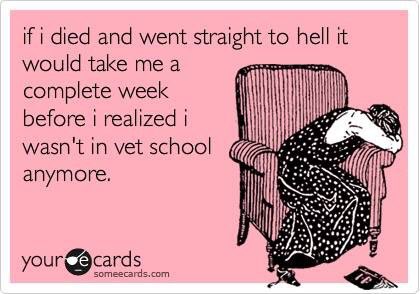 state_dvm's tweet photo. #vetschool #itsnotlying https://t.co/pmw7G9xBgL